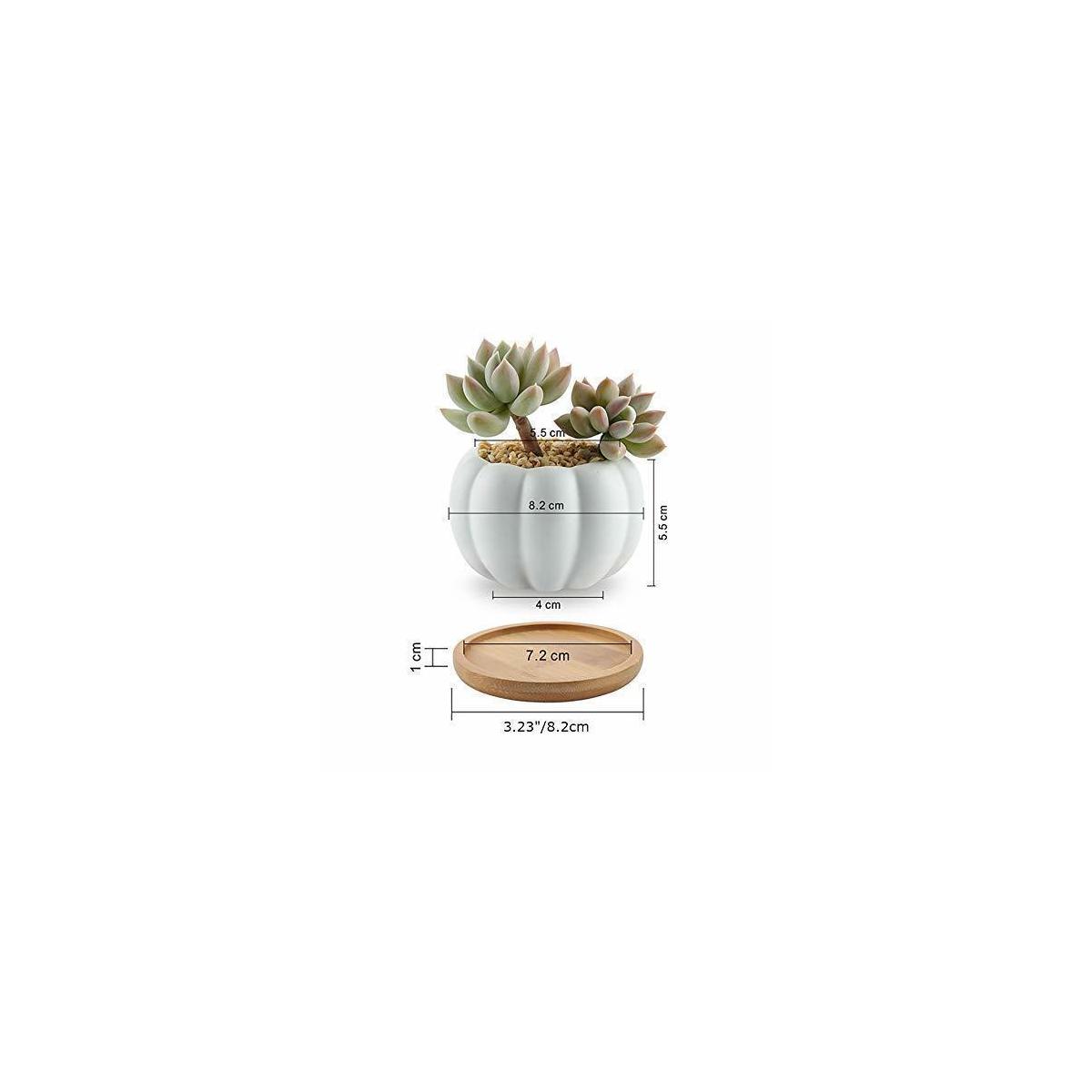 Succulent Cactus Plant Mini Pots With Bamboo Saucers 3 Pack Indoor Outdoor5 Cash Back - RebateKey