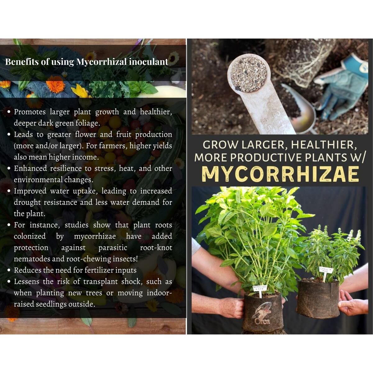 Mycorrhizal Inoculant Fungi Rebates - RebateKey