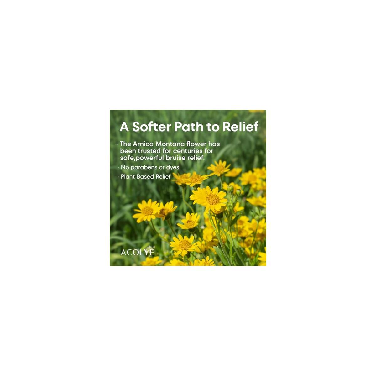 Arnica Bruise Cream Rebates - RebateKey