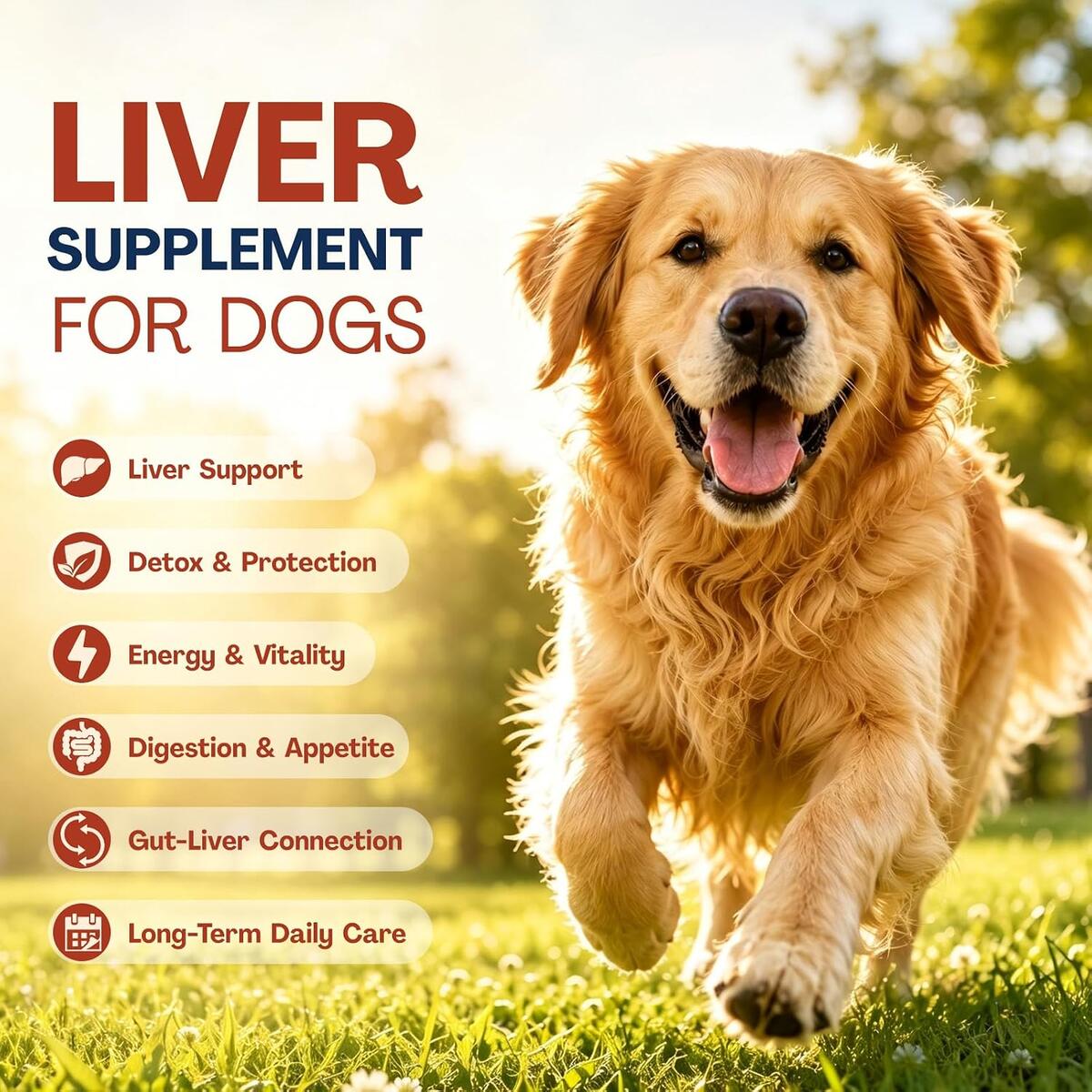 120 Enteric Coated Tablets Rebate - RebateKey