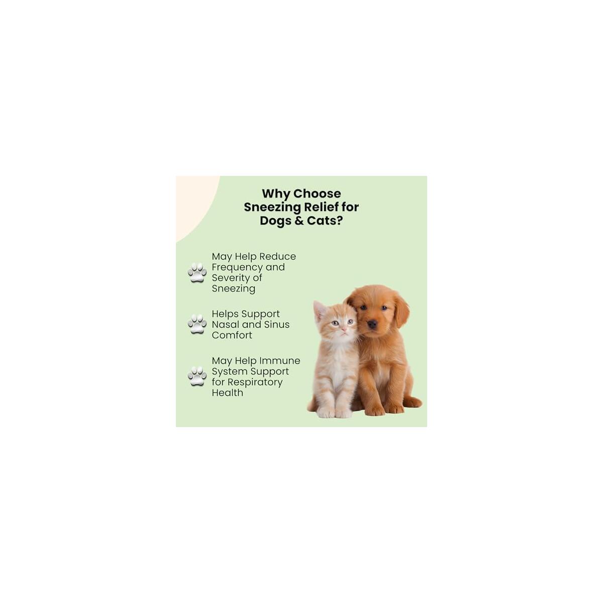 Dog Cat Sneezing Treatment 1 Rebate - RebateKey
