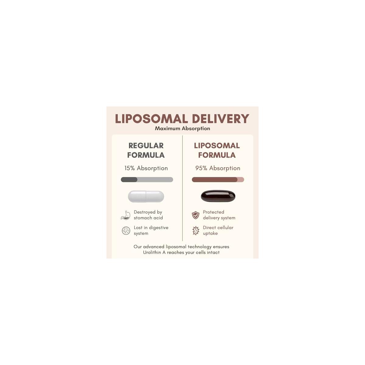 Liposomal Urolithin A Rebates - RebateKey