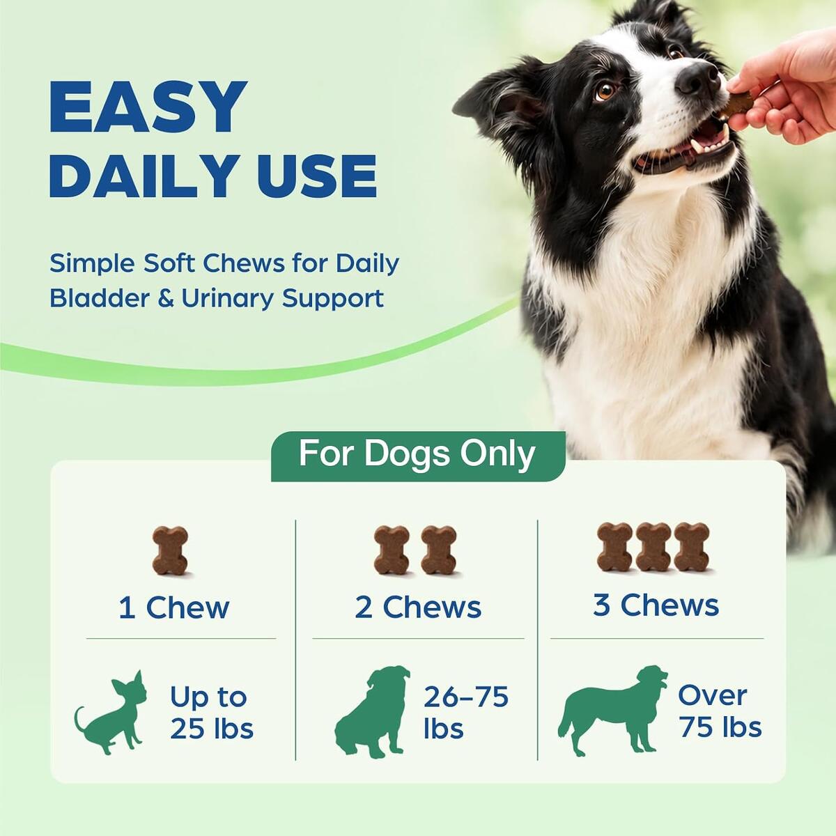Cranidin Cranberry Supplement For Dogs Rebate - RebateKey