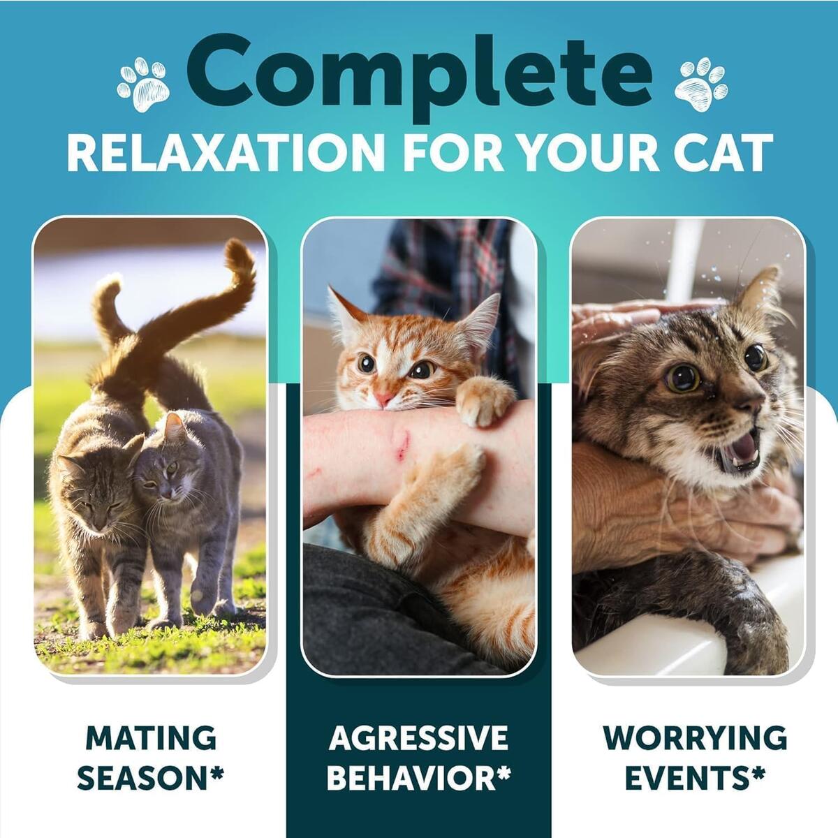 Cat Calming Products Cashback - RebateKey