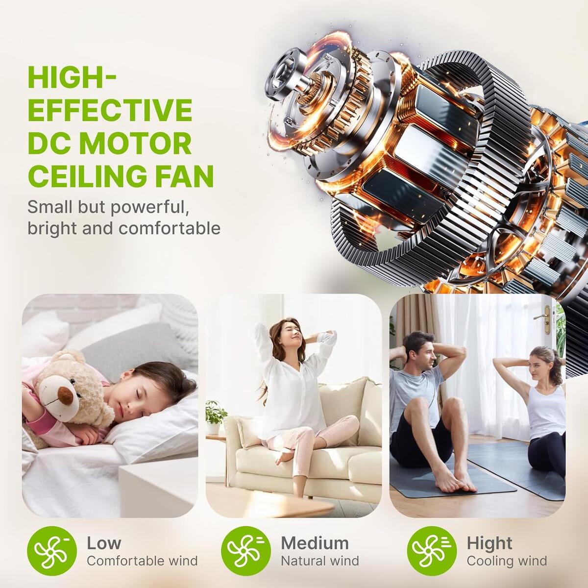 2 In 1 Ceiling Fans 10 Rebates - RebateKey