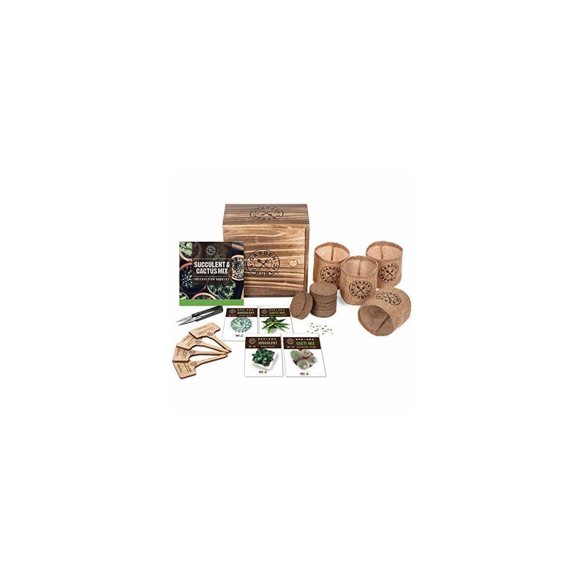 Cactus Succulent Seed Starter Kit Indoor Garden Grow Kits Seeds For Planting2 Cash Back - RebateKey