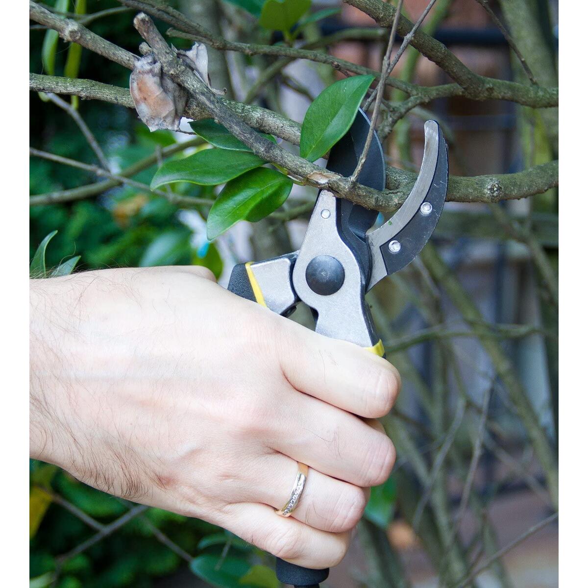 Bypass Pruning Shears Cashback - RebateKey