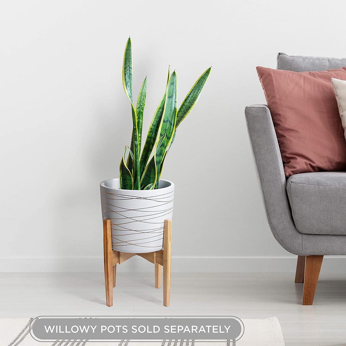 Plant Stands Cash Back - RebateKey