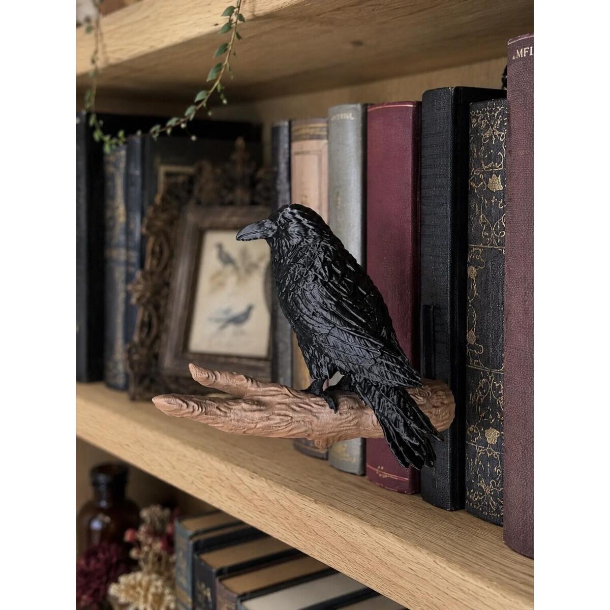 Bookshelf Decor Cashback - RebateKey