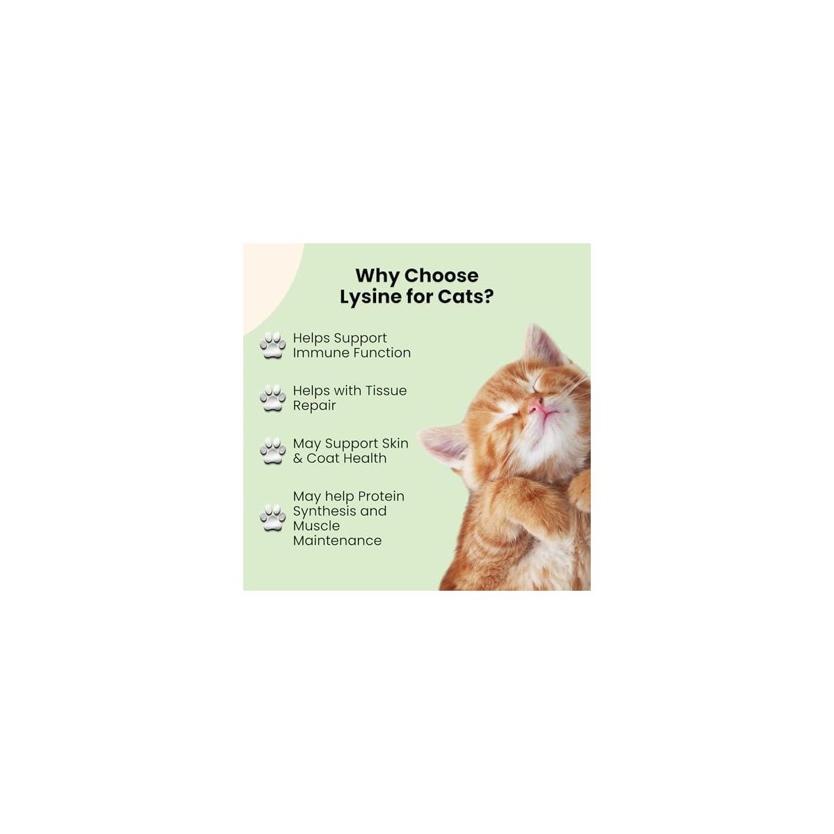 Cat Sneezing Treatment Rebate - RebateKey