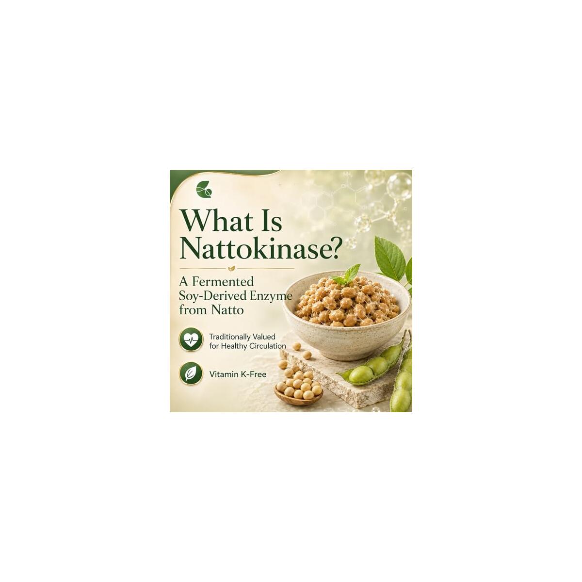 Nattokinase Supplement 3 Cashback - RebateKey