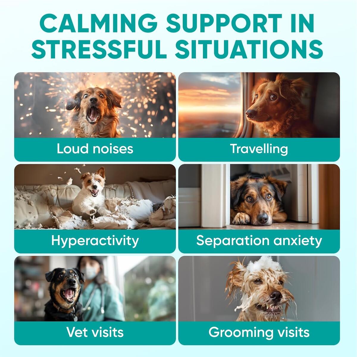 Hemp Caming Chews For Dogs Rebate - RebateKey