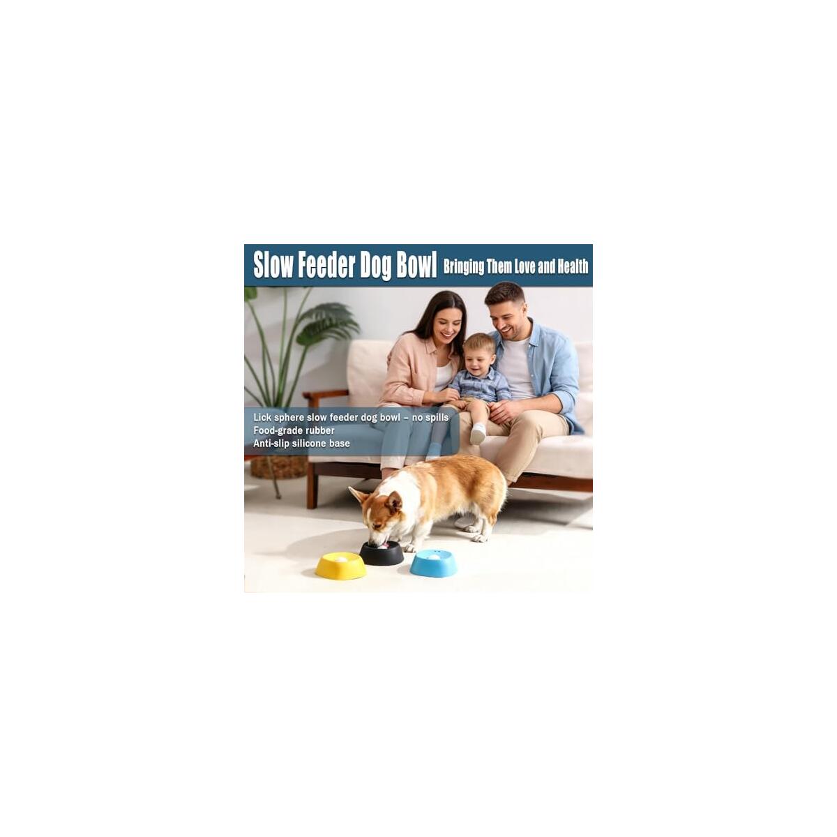 Slow Feeder Dog Bowls Cashback Rebates - RebateKey