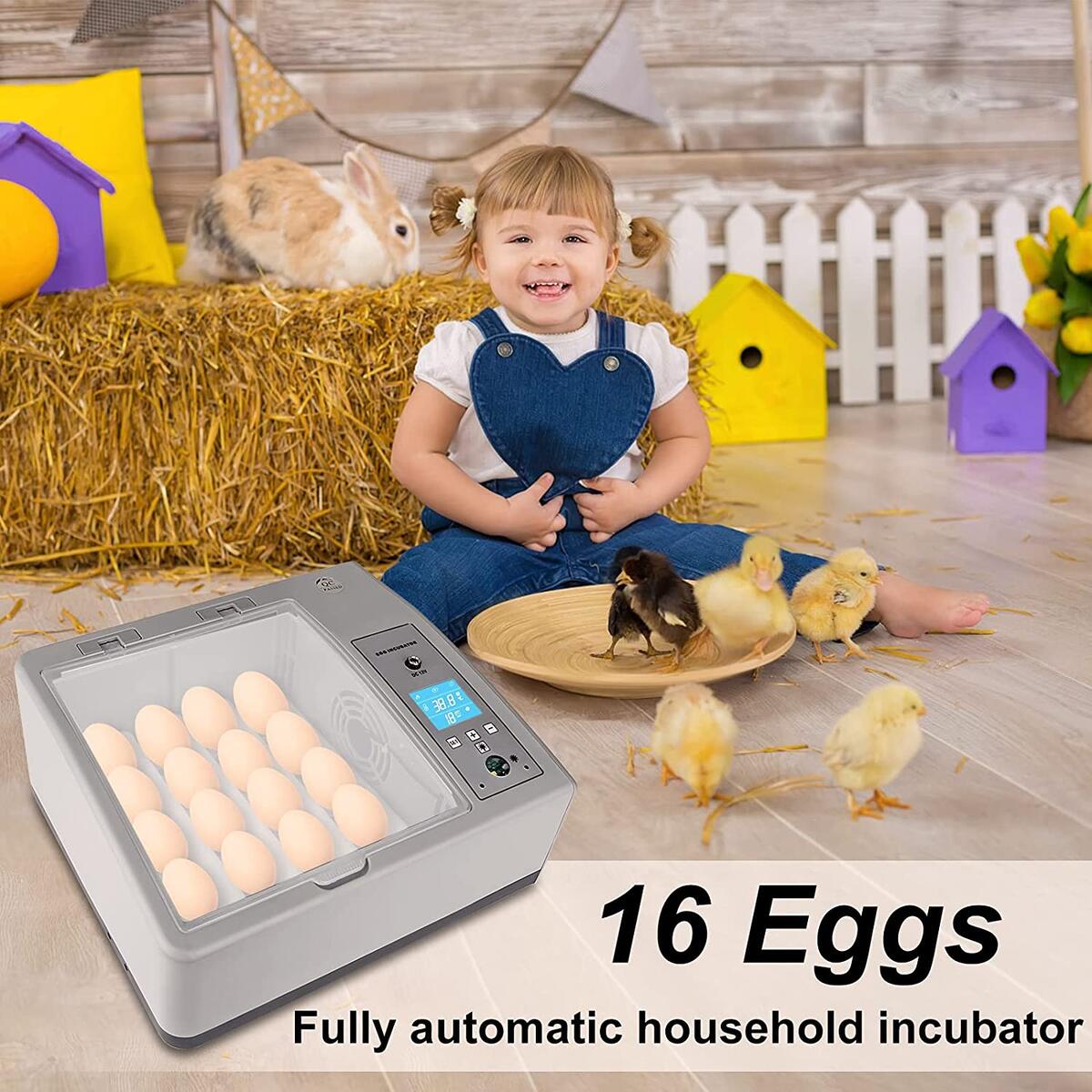 Egg Incubator Rebate - RebateKey
