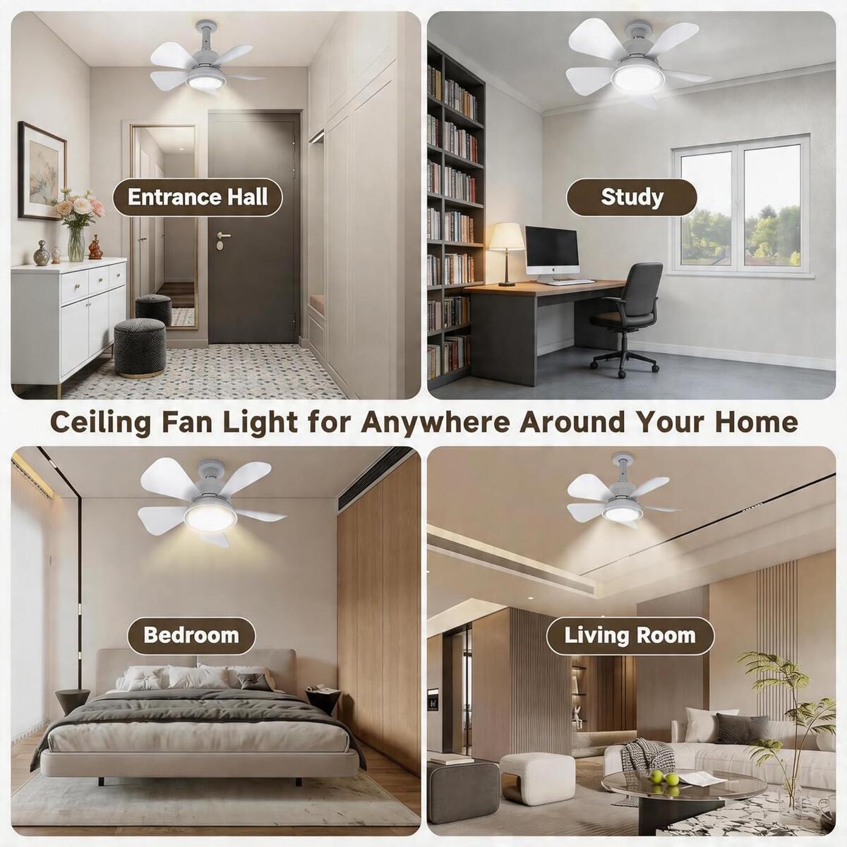Socket Fan Light 1 Cashback Rebate - RebateKey
