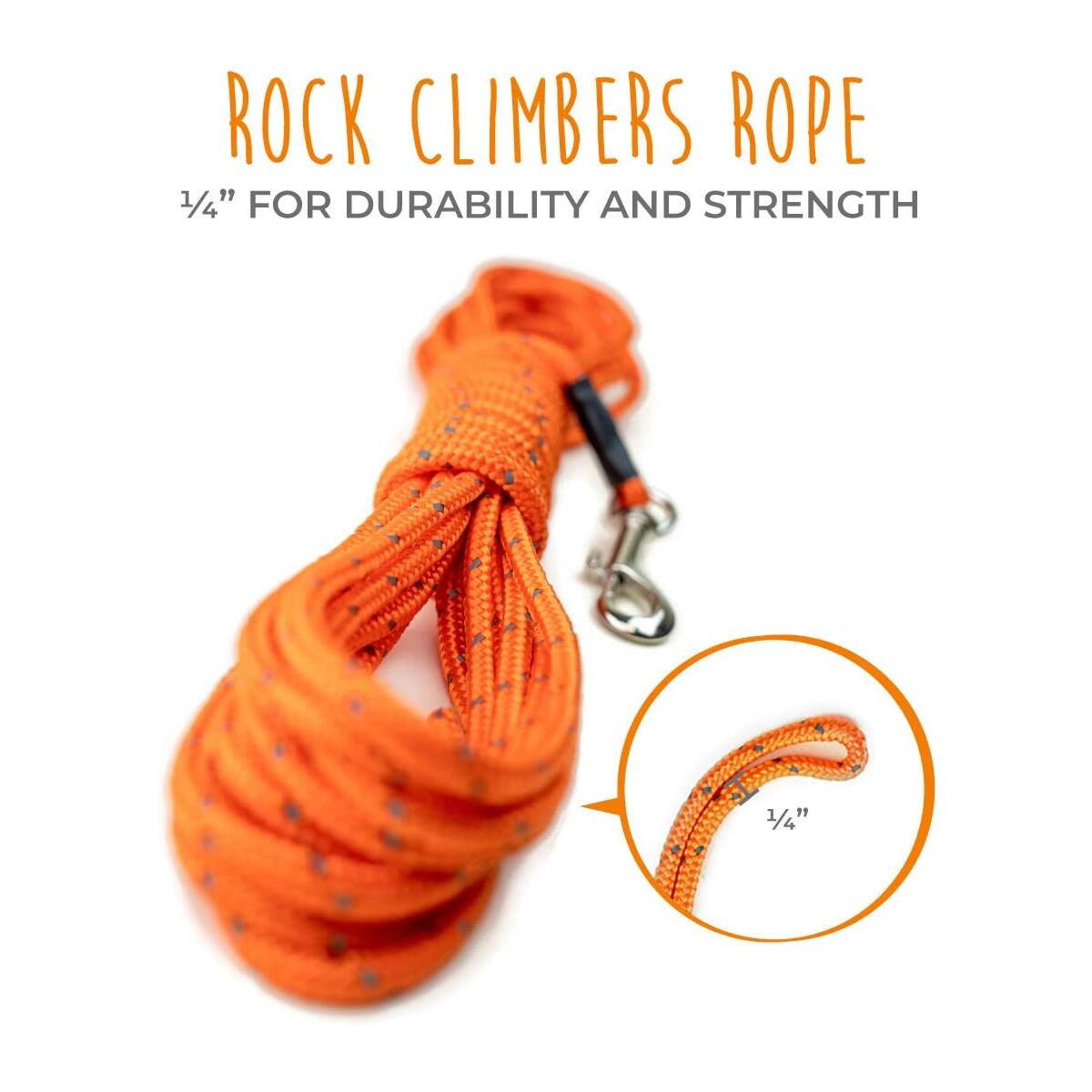 Mightypaw Check Cord Cashback Rebates - RebateKey