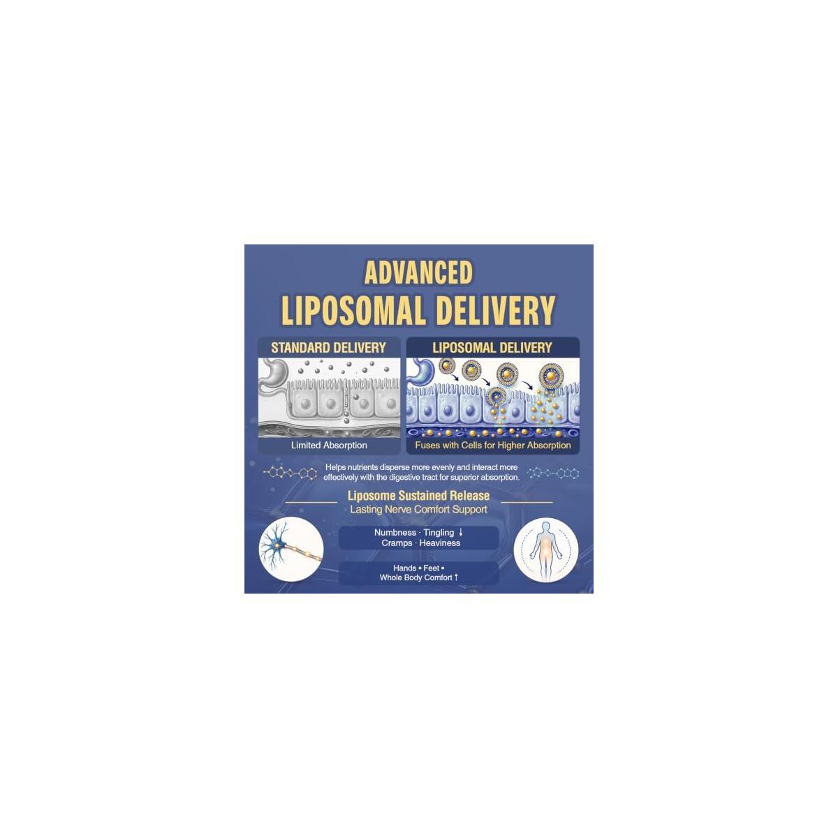 Benfotiamine 600mg Cashback Rebates - RebateKey
