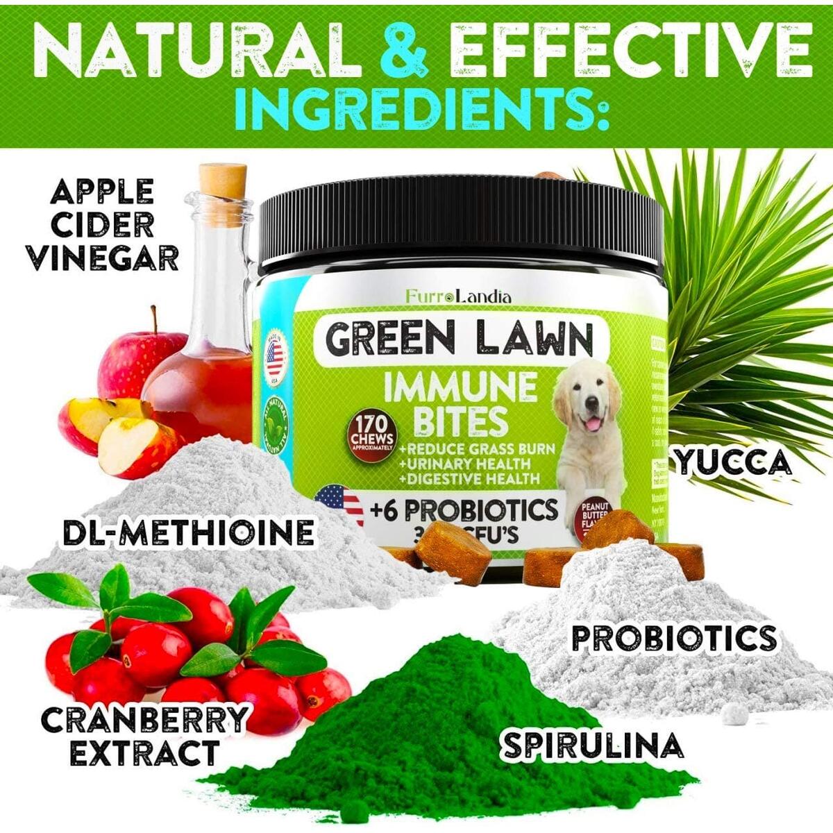 Dogs Digestive Enzymes Cashback - RebateKey