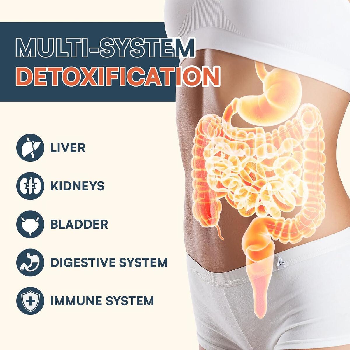 Detox Powder Supplement 1 Cashback - RebateKey