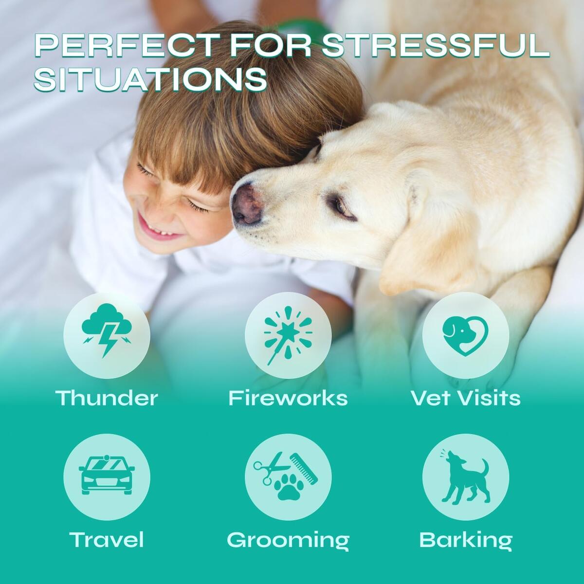 Dog Calming Chews 2 Rebate - RebateKey