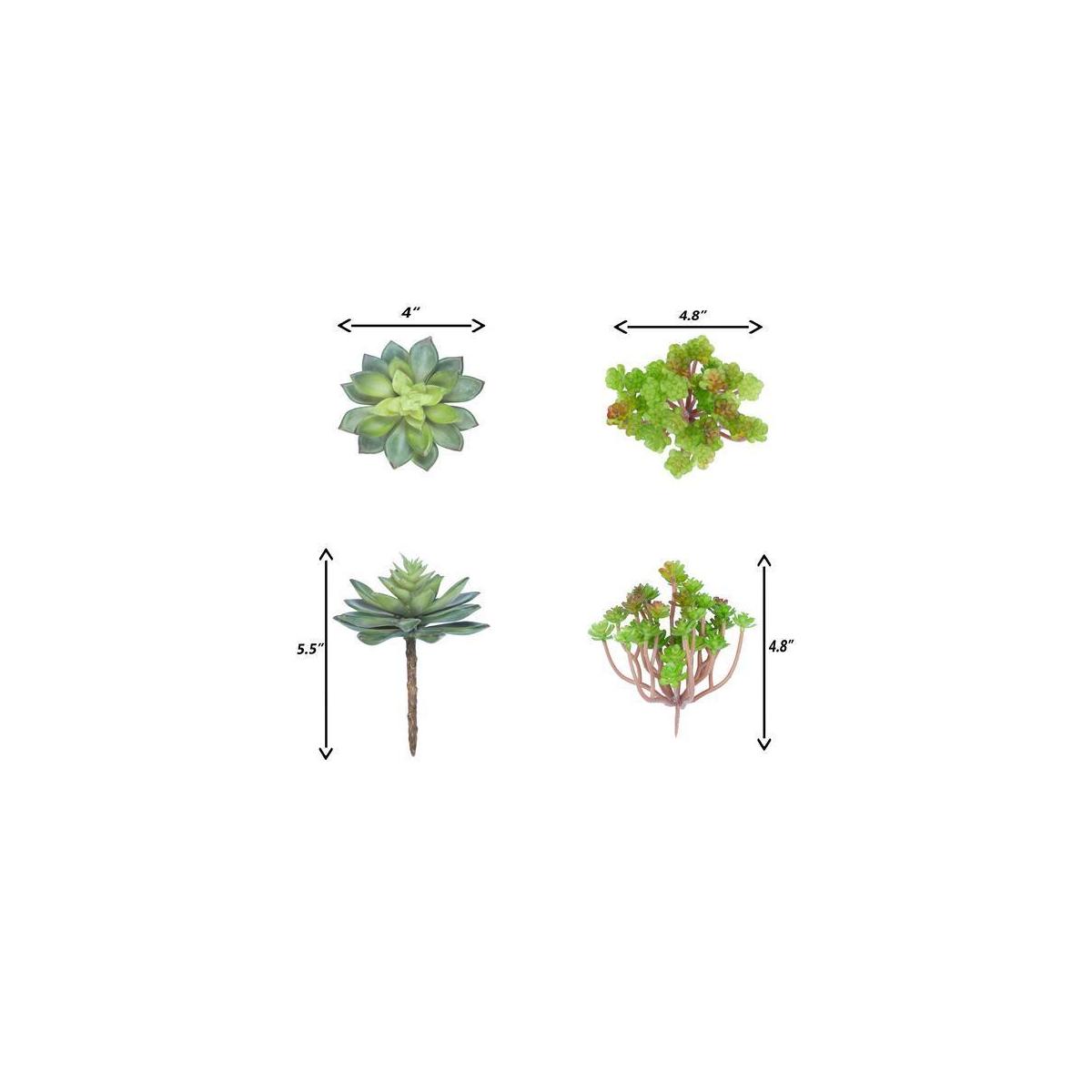 Fake Succulent Plants3 Cash Back - RebateKey