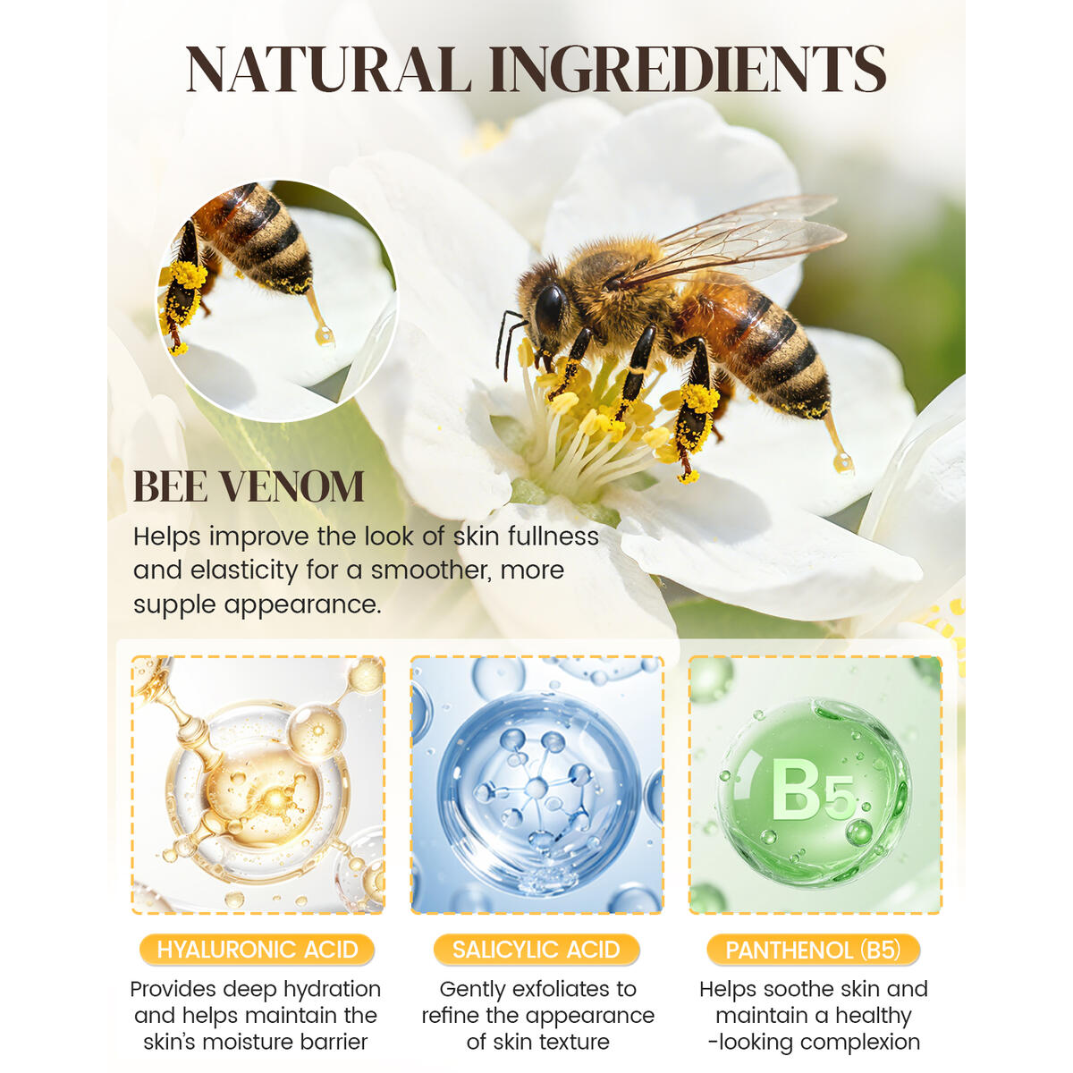 Bee Venom Moisturizing Cash Back - RebateKey