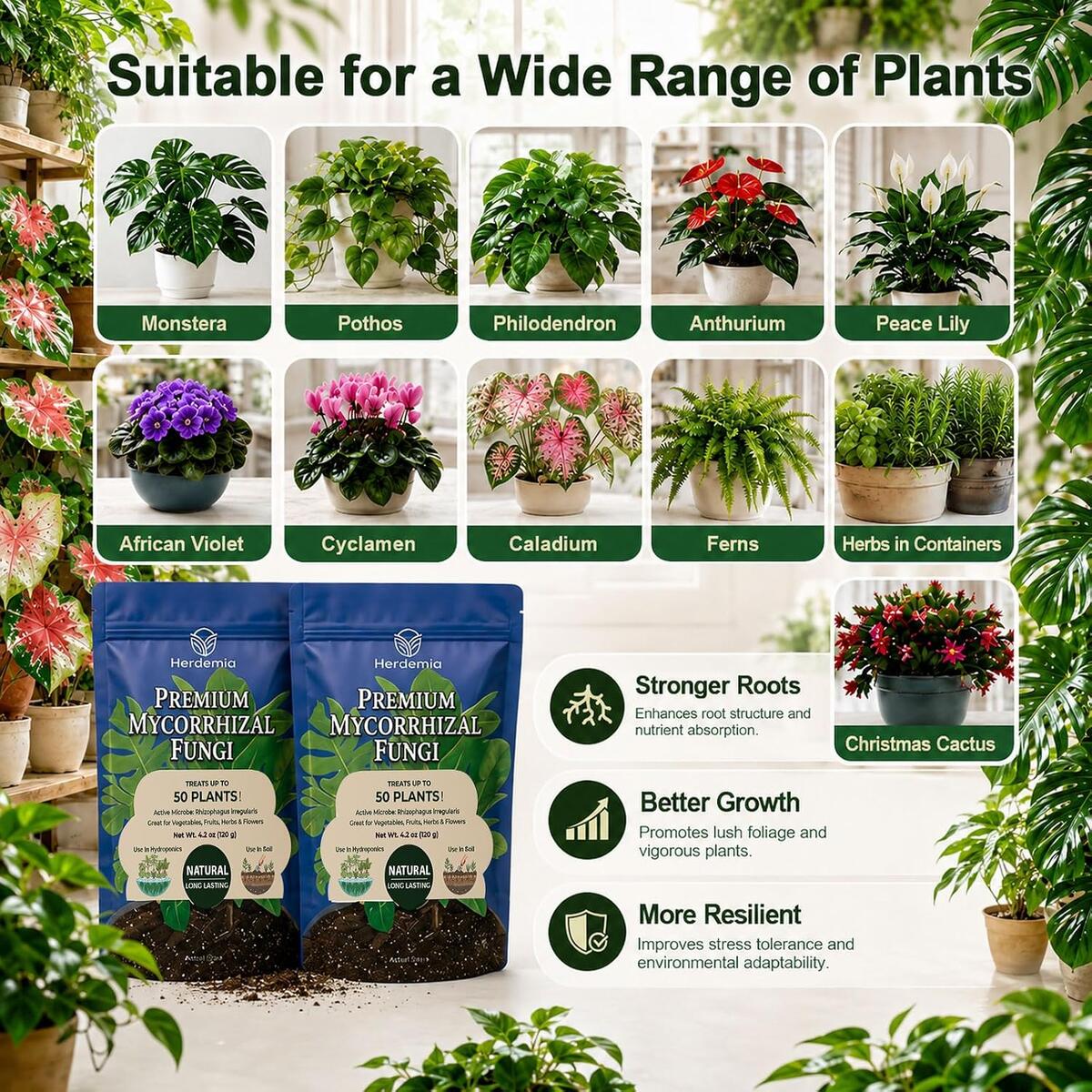 Plant Food Indoor House Plants Rebate - RebateKey
