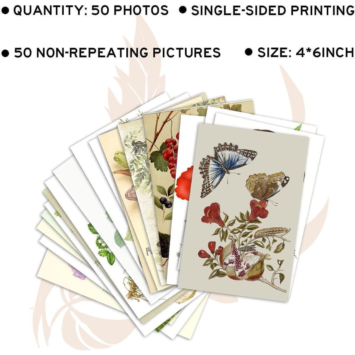 Cottagecore Poster Cashback Rebate - RebateKey