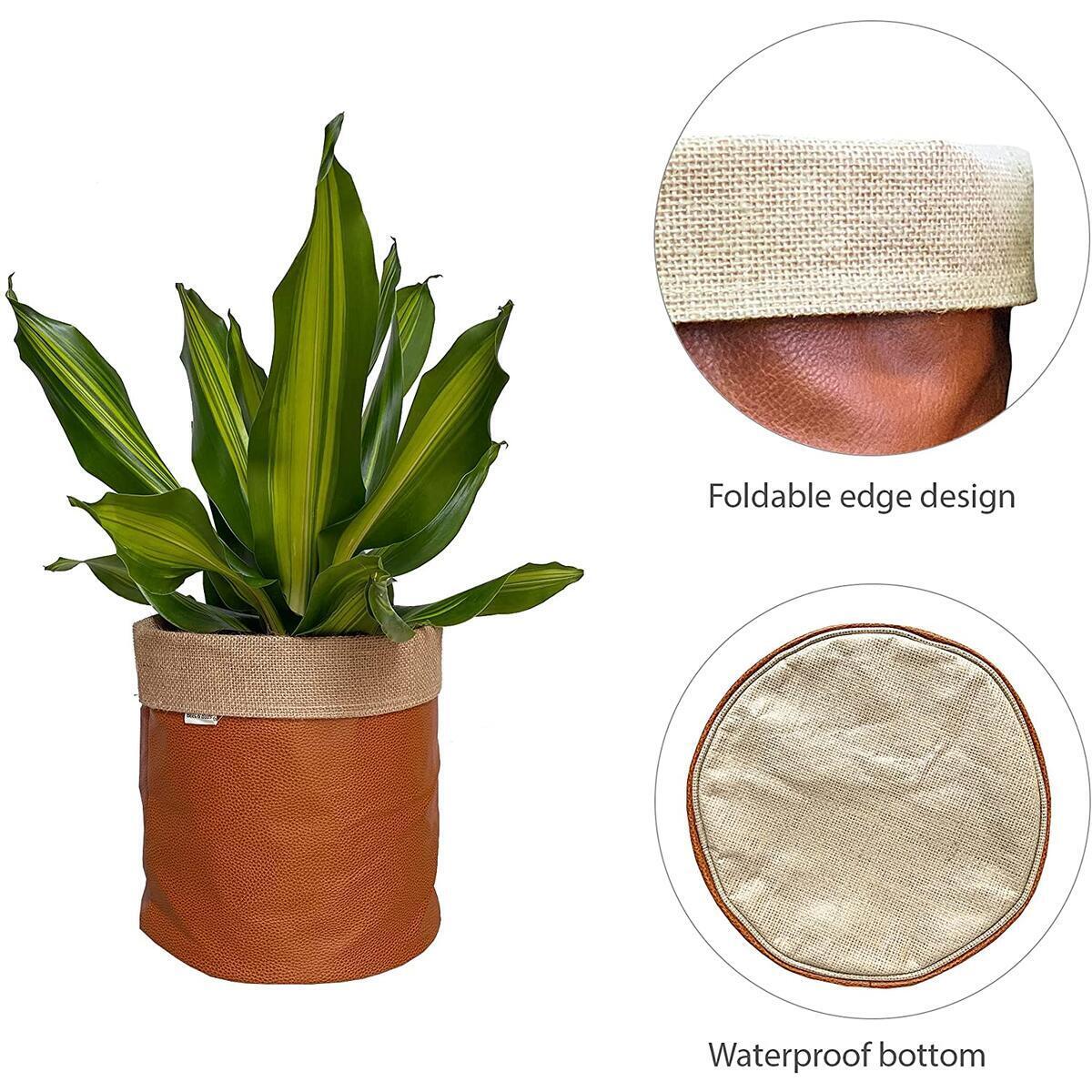 Plant Basket 6 Rebates - RebateKey