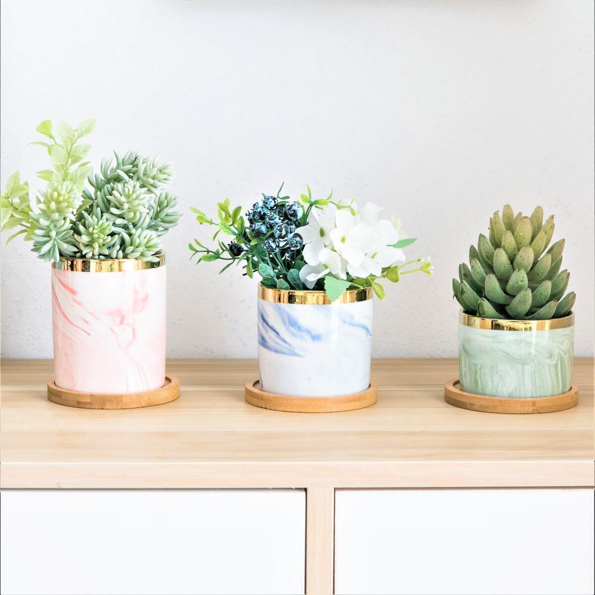 Succulent Plant Flower Ceramic Pot Green/ Blue Succulent Plant Flower Ceramic Pot Green/ Blue