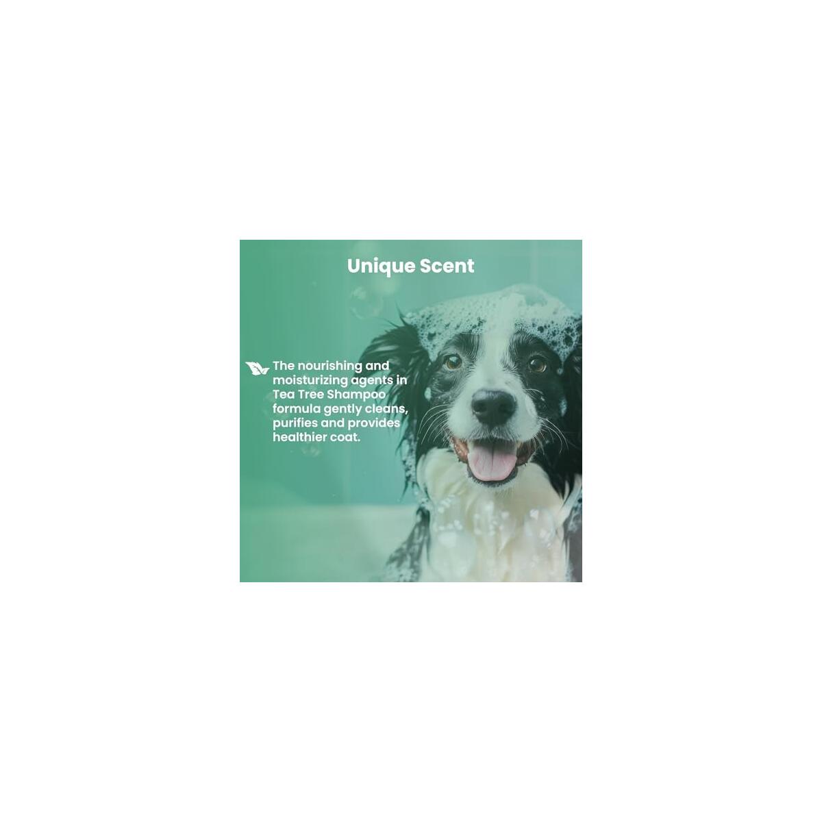 Dog Shampoo Itchy Skin Relief Cashback Rebate - RebateKey