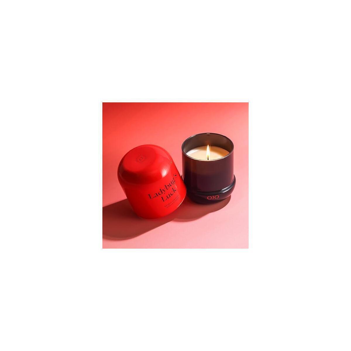 Ojo Lady Bug S 28 Cash Back - RebateKey