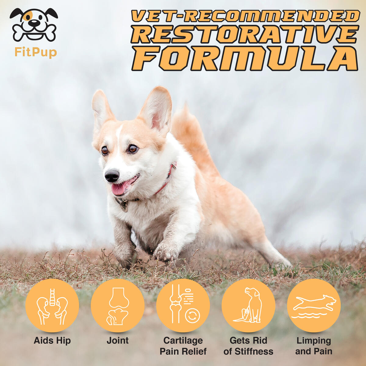 Small Dog Liquid Glucosamine Rebates - RebateKey