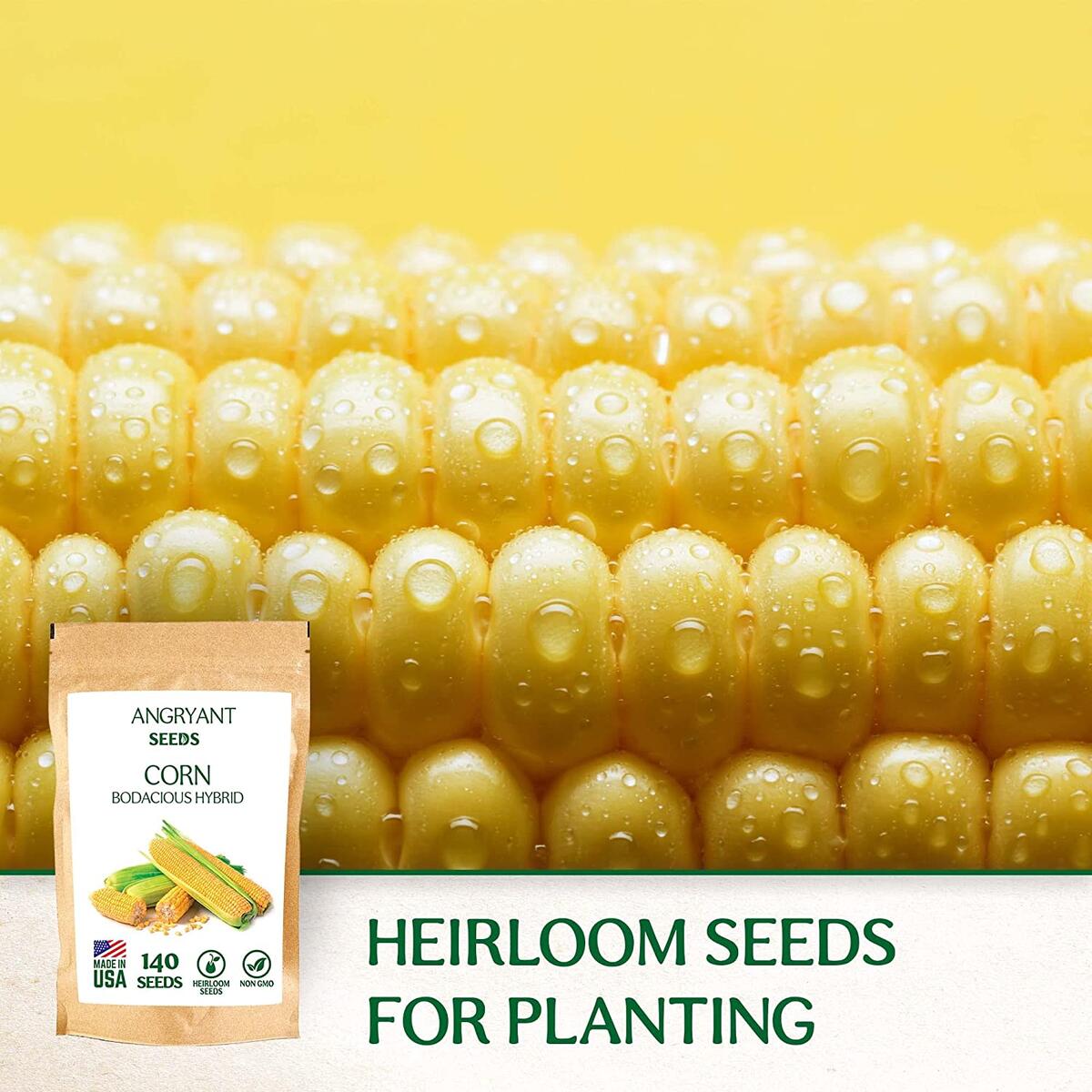 Corn Seeds Cash Back - RebateKey