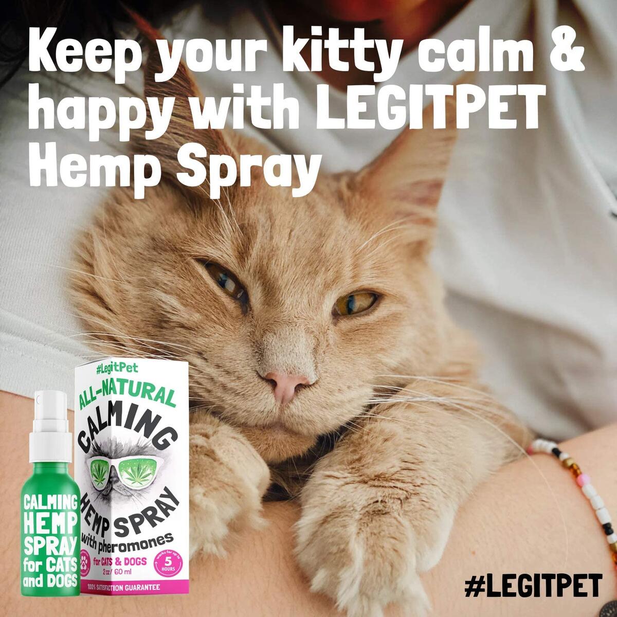 Cat Calming Rebates - RebateKey