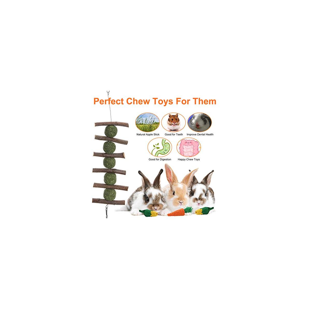 Rabbit Chew Toys Rebates - RebateKey