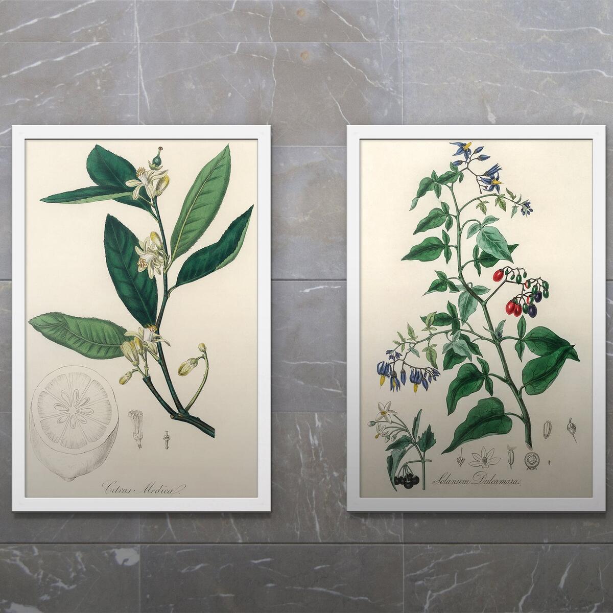 Flowers Set Printable Cashback Rebates - RebateKey