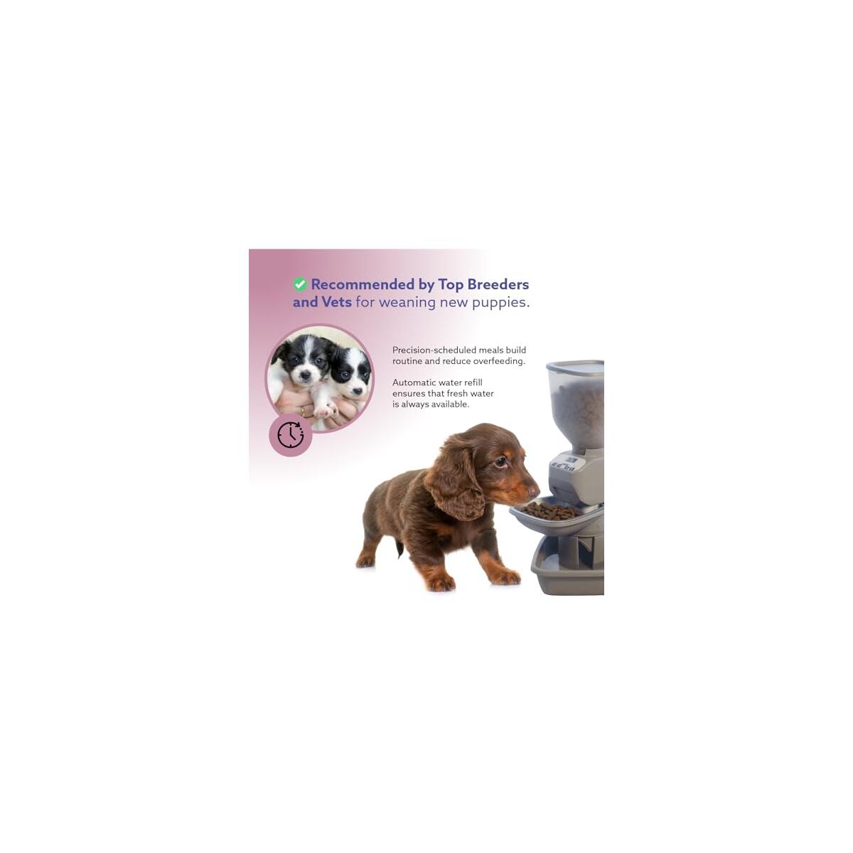 Automatic Dog Cat Food Feeder With Water Cashback - RebateKey