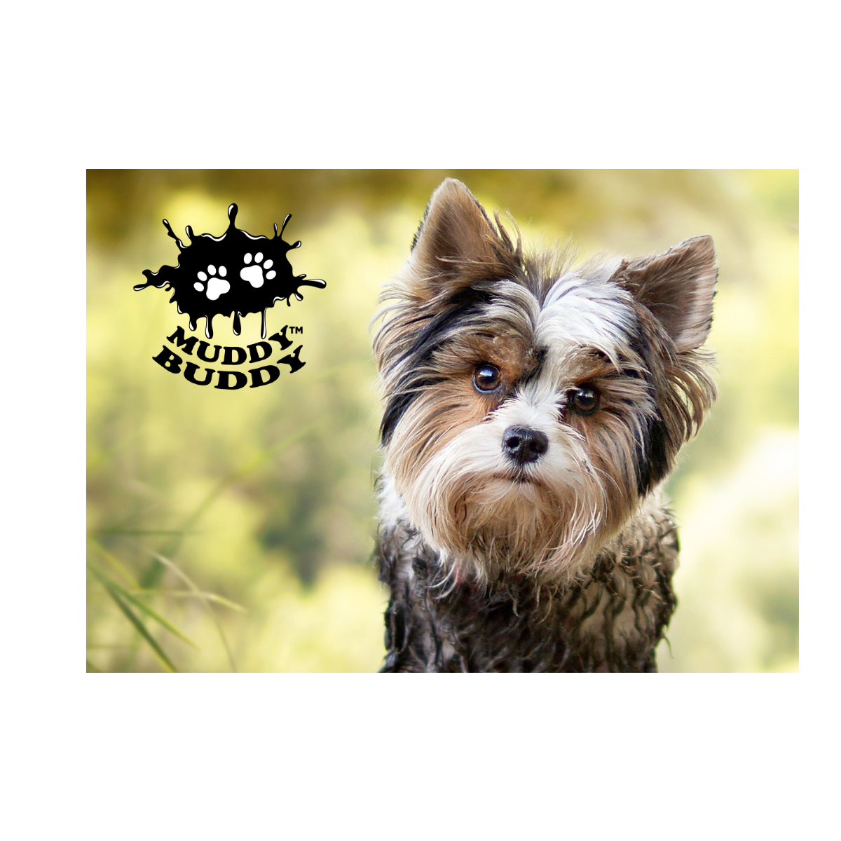 Portable Dog Shower Cashback Rebate - RebateKey