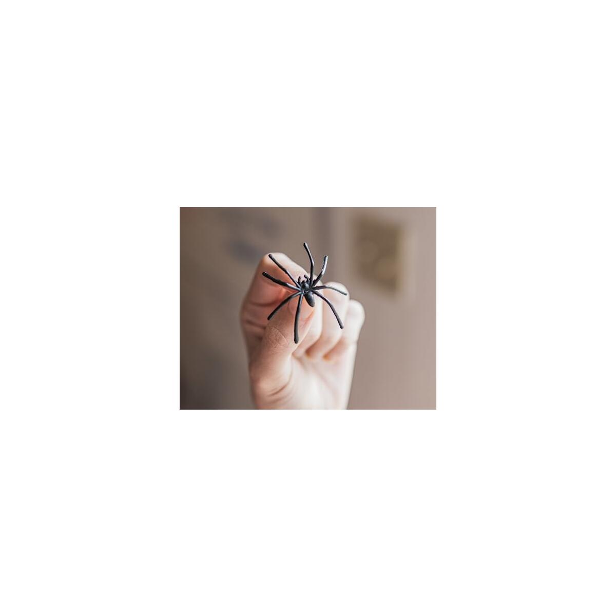 Spider Web 200 Square Feet Cashback Rebates - RebateKey
