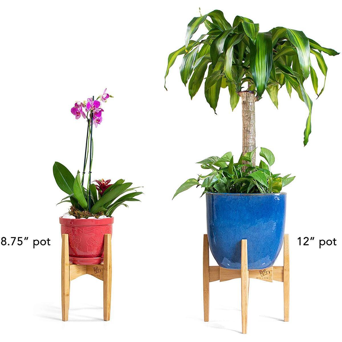 Plant Stands Cash Back - RebateKey