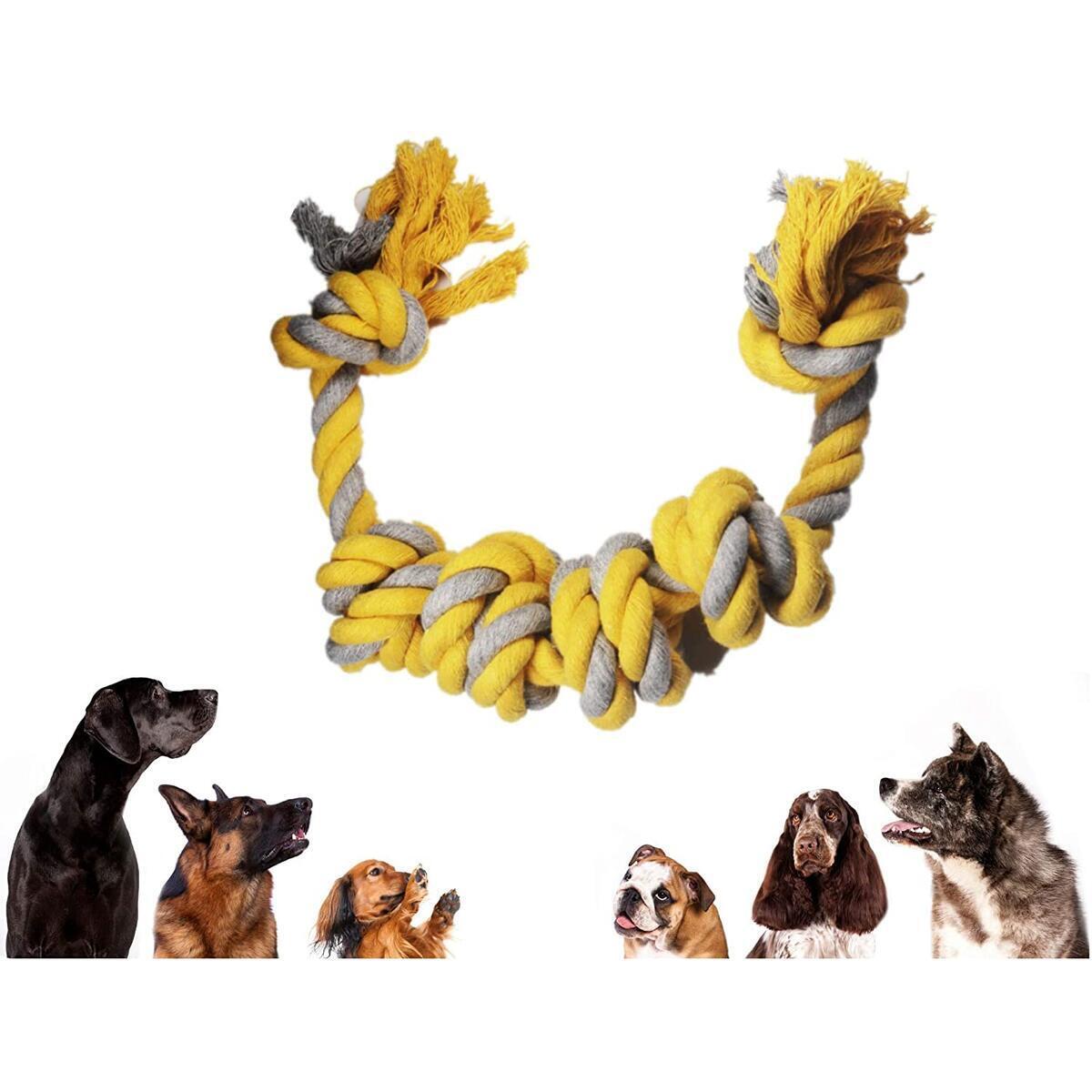Interactive Dog Toys Cashback Rebates - RebateKey