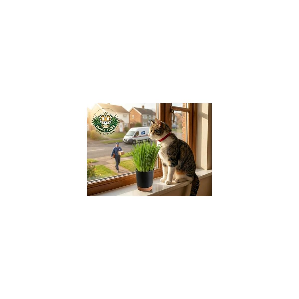 Cat Grass Kit 7 Cashback Rebates - RebateKey