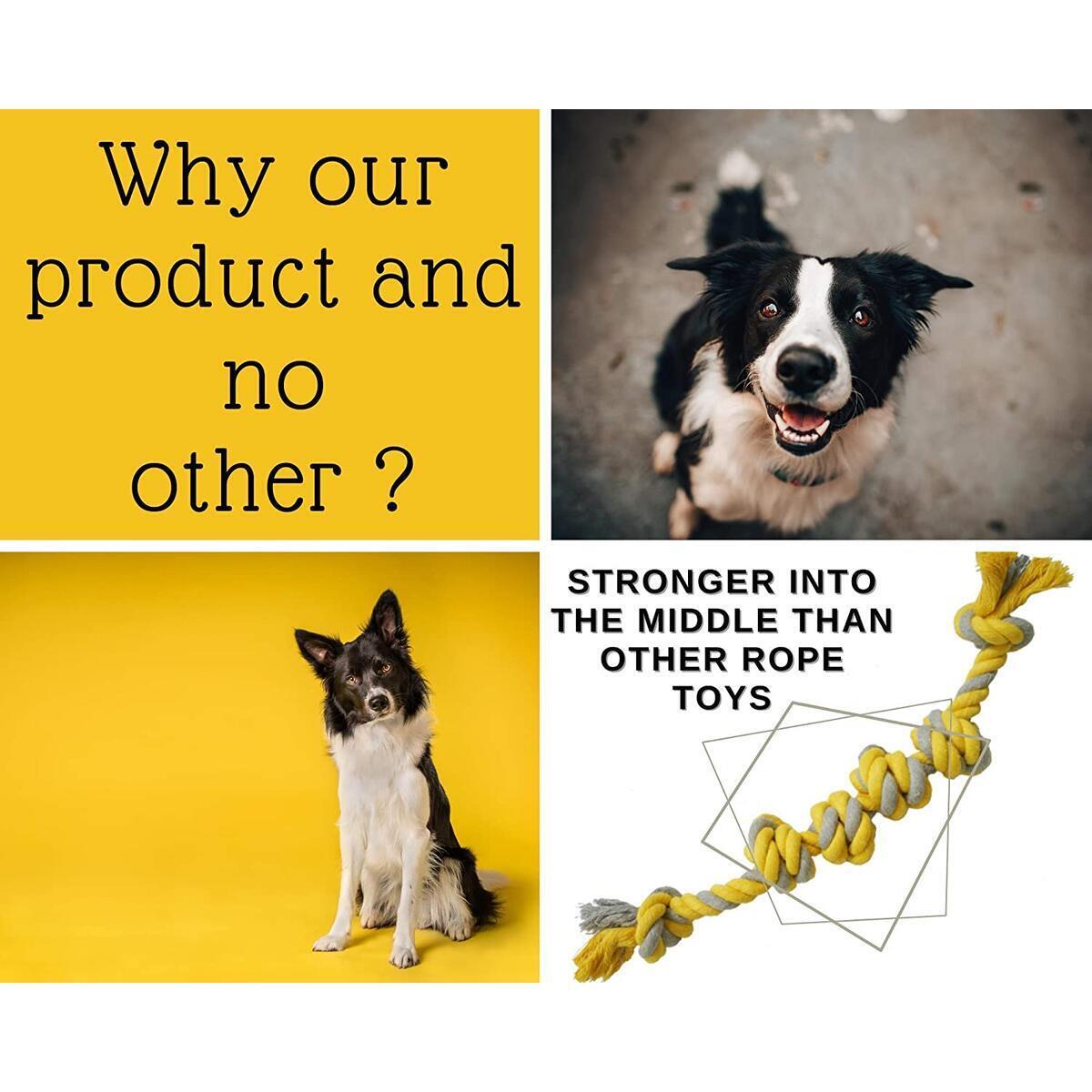 Interactive Dog Toys Cashback Rebates - RebateKey