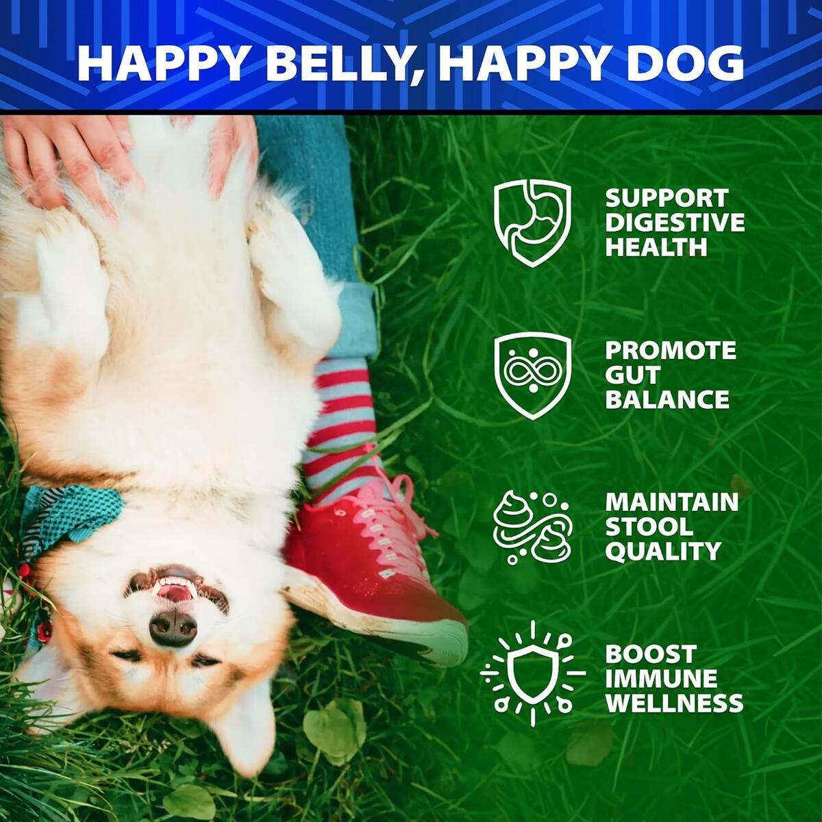 Probiotic Chews Cashback Rebates - RebateKey