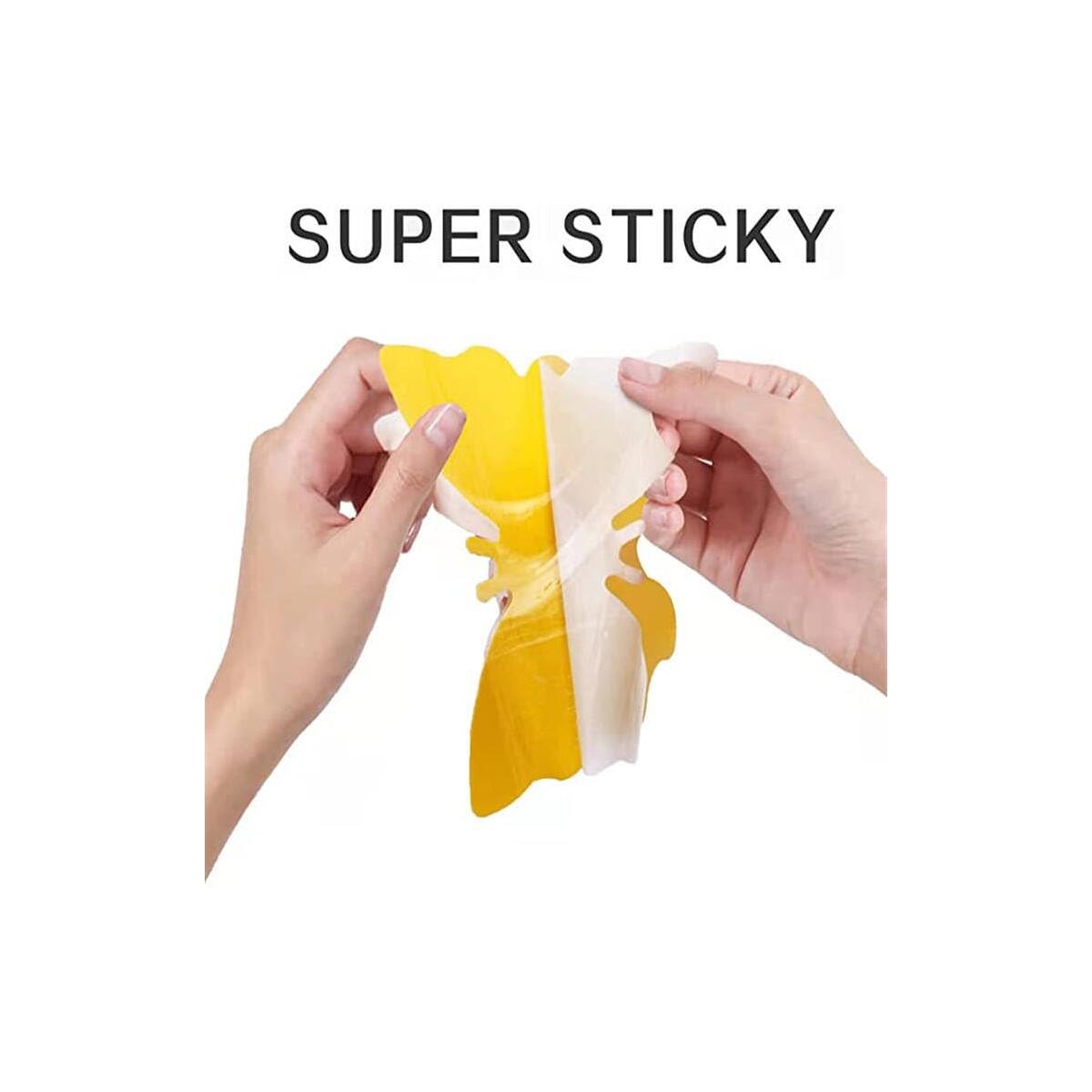 Sticky Insect Traps Cash Back - RebateKey