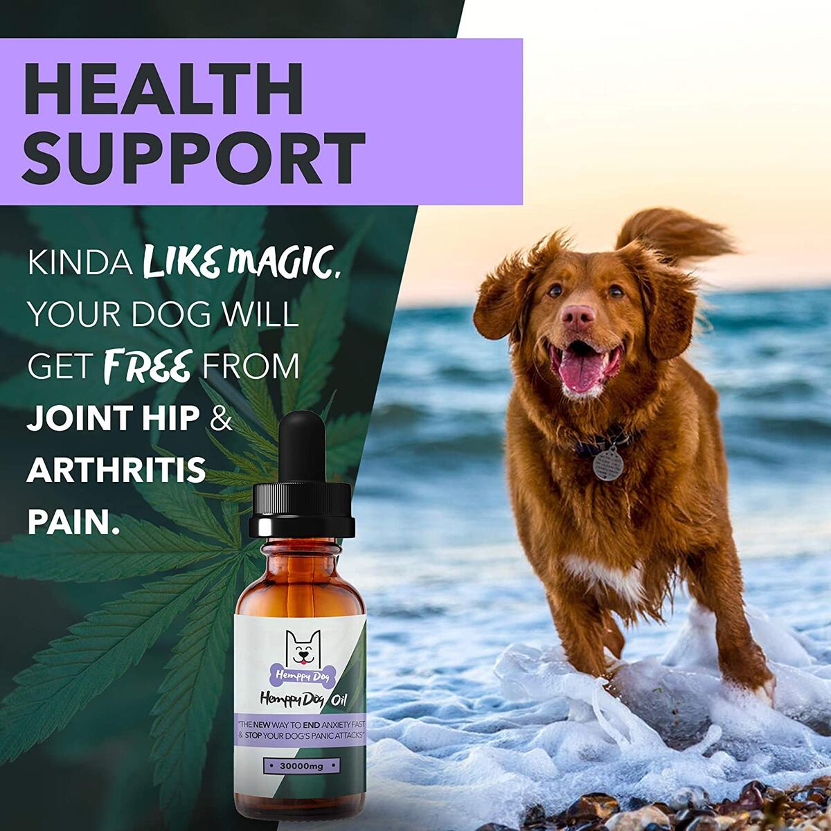Cbd For Dogs Rebates RebateKey