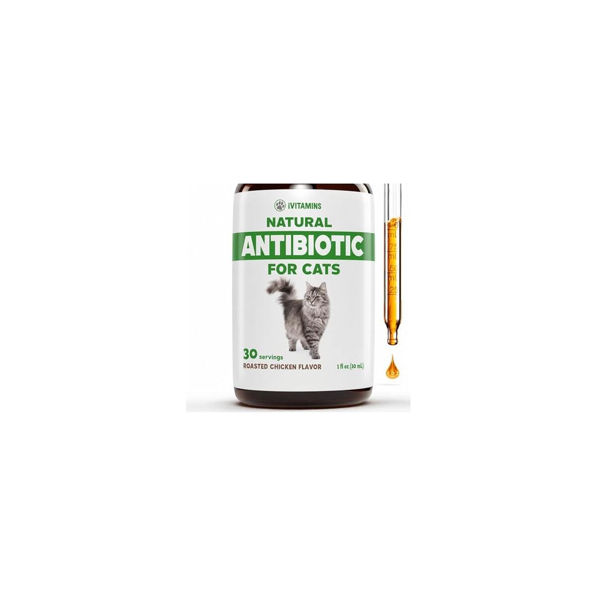 Cat Antibiotic for Infections, UTIs, Respiratory Moments, Cold, & Allergies | Antibiotics for Cats of All Ages & Breeds | Chicken Flavor | 1 fl oz | (1)