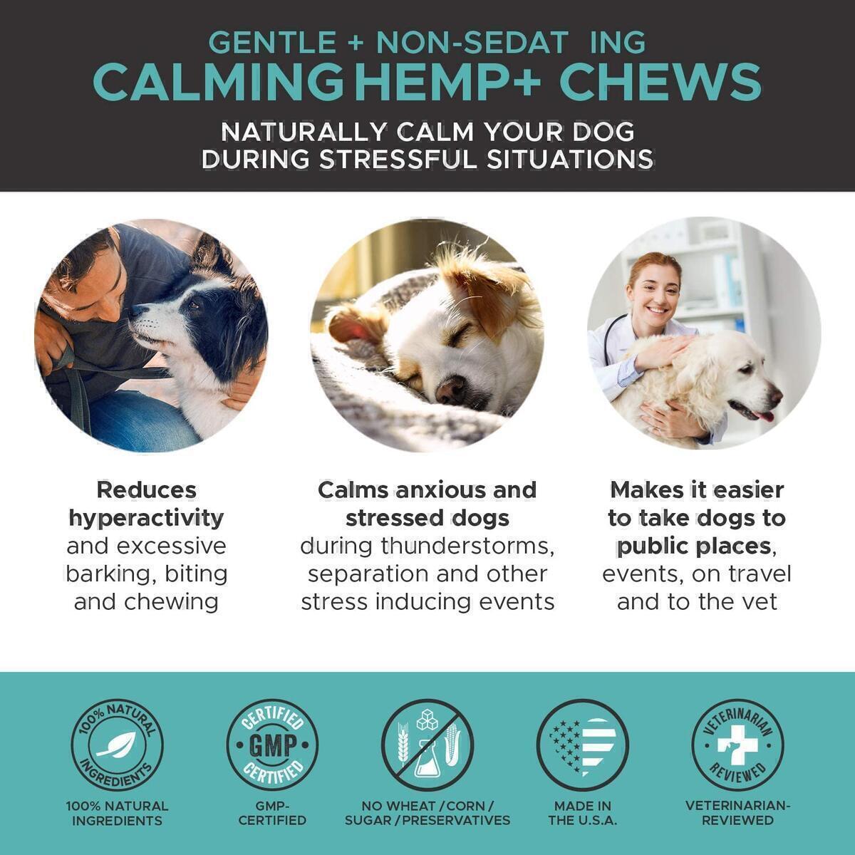 Pethonesty 1 Cash Back - RebateKey