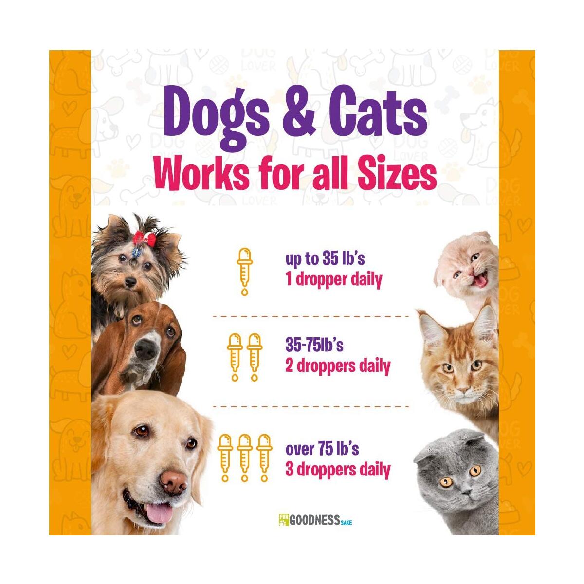 Medicine For Dogs Cashback Rebate - RebateKey